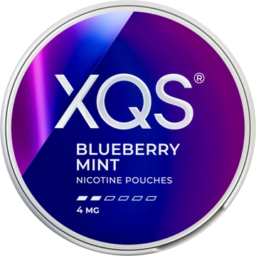XQS Blueberry Mint 4mg